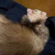 ヒメ日記 2025/02/04 20:22 投稿 なぎ 池袋人妻城