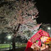 ヒメ日記 2025/04/07 10:06 投稿 萌香 昼顔妻 五反田店