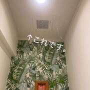 ヒメ日記 2025/04/23 18:04 投稿 みさ 性腺熟女100％（デリヘル市場）