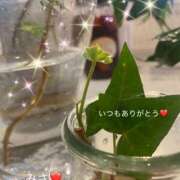 ヒメ日記 2025/08/10 11:25 投稿 みさ 性腺熟女100％（デリヘル市場）