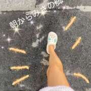 ヒメ日記 2025/11/29 09:17 投稿 みさ 性腺熟女100％（デリヘル市場）