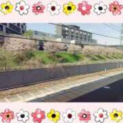 ヒメ日記 2025/04/12 11:44 投稿 なな 逢って30秒で即尺