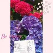 ヒメ日記 2025/07/25 10:57 投稿 なな 逢って30秒で即尺