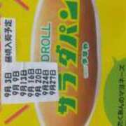 ヒメ日記 2025/09/11 17:29 投稿 なな 逢って30秒で即尺
