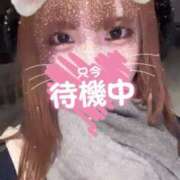 ヒメ日記 2025/02/04 13:38 投稿 あいり 制服これくしょん