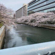 ヒメ日記 2025/04/09 16:08 投稿 みさ 性腺熟女100％鶯谷（デリヘル市場）