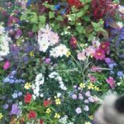 ヒメ日記 2025/05/22 19:16 投稿 みさ 性腺熟女100％鶯谷（デリヘル市場）