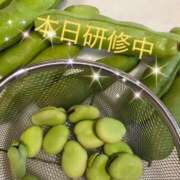 ヒメ日記 2025/06/19 10:48 投稿 みさ 性腺熟女100％鶯谷（デリヘル市場）