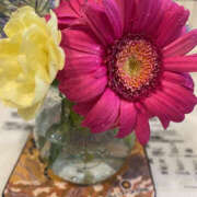 ヒメ日記 2025/06/25 10:23 投稿 みさ 性腺熟女100％鶯谷（デリヘル市場）