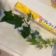 ヒメ日記 2025/07/20 14:38 投稿 みさ 性腺熟女100％鶯谷（デリヘル市場）