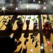 ヒメ日記 2025/09/18 09:47 投稿 みさ 性腺熟女100％鶯谷（デリヘル市場）