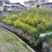 ヒメ日記 2025/04/09 11:44 投稿 ゆる 奴隷コレクション