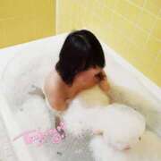 ヒメ日記 2025/04/13 18:59 投稿 ゆる 奴隷コレクション