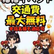 ヒメ日記 2026/02/22 13:01 投稿 ゆる 奴隷コレクション