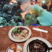 ヒメ日記 2026/03/25 22:04 投稿 ゆる 奴隷コレクション