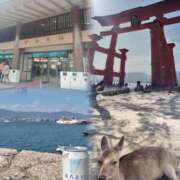 ヒメ日記 2026/04/08 21:59 投稿 ゆる 奴隷コレクション