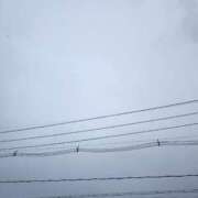 ヒメ日記 2025/01/15 07:54 投稿 ろこ 熟女の風俗最終章 仙台店