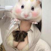 のどか のどか出勤♡ ビデオdeはんど 横浜校