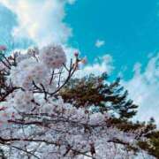 ヒメ日記 2025/04/07 23:46 投稿 都香彩(つかさ) 可憐な妻たち 高崎店