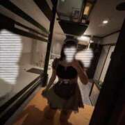 ヒメ日記 2025/11/02 22:57 投稿 ゆの サクラ（すすきの）