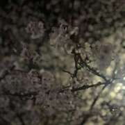 ヒメ日記 2025/04/04 04:26 投稿 桃寧 久留米デリヘルセンター