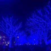 ヒメ日記 2025/01/16 18:03 投稿 みな 快楽夫人