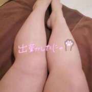 ヒメ日記 2026/02/12 09:02 投稿 みな 快楽夫人