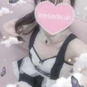 ヒメ日記 2025/01/31 10:48 投稿 みさ 渋谷☆にゃんだ☆Full