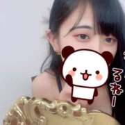 ヒメ日記 2025/03/19 11:01 投稿 ゆき 渋谷☆にゃんだ☆Full