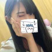 ヒメ日記 2025/06/09 10:56 投稿 ゆき 渋谷☆にゃんだ☆Full