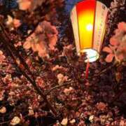 ヒメ日記 2025/04/07 13:00 投稿 はるな 渋谷☆にゃんだ☆Full