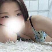 ヒメ日記 2025/02/04 20:45 投稿 ふうか 渋谷☆にゃんだ☆Full