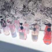 ヒメ日記 2025/03/30 06:58 投稿 あおい 渋谷☆にゃんだ☆Full