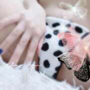 ヒメ日記 2025/08/18 20:52 投稿 あおい 渋谷☆にゃんだ☆Full