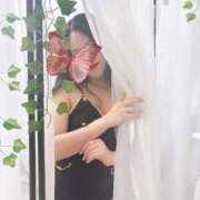 ヒメ日記 2025/07/09 02:00 投稿 あやの 渋谷☆にゃんだ☆Full