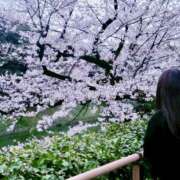 ヒメ日記 2025/04/05 14:33 投稿 穂乃花(ほのか) エクレア上野御徒町　天然貴姉乳舐手淫店