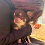 ヒメ日記 2025/04/25 01:26 投稿 ふゆか 新宿泡洗体デラックスエステ