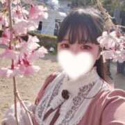 ヒメ日記 2025/06/20 14:55 投稿 星宮りん 奴隷志願！変態調教飼育クラブ本店