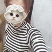 ヒメ日記 2025/03/31 09:12 投稿 みーも スピードエコ難波店