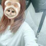 ヒメ日記 2025/04/27 08:52 投稿 みーも スピードエコ難波店