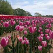 ヒメ日記 2025/05/09 19:52 投稿 みーも スピードエコ難波店