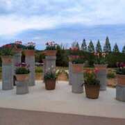 ヒメ日記 2025/06/11 23:52 投稿 みーも スピードエコ難波店