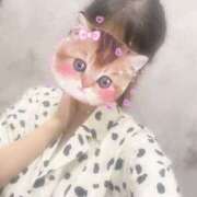 ヒメ日記 2025/07/16 09:02 投稿 みーも スピードエコ難波店