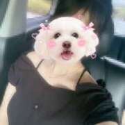 ヒメ日記 2025/07/19 09:42 投稿 みーも スピードエコ難波店