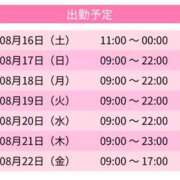 ヒメ日記 2025/08/16 13:45 投稿 みーも スピードエコ難波店
