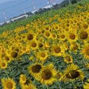 ヒメ日記 2025/08/23 13:22 投稿 みーも スピードエコ難波店