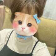 ヒメ日記 2025/09/20 09:03 投稿 みーも スピードエコ難波店