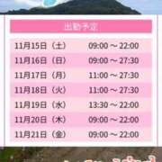 ヒメ日記 2025/11/15 13:12 投稿 みーも スピードエコ難波店