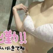 ヒメ日記 2025/11/20 08:52 投稿 みーも スピードエコ難波店