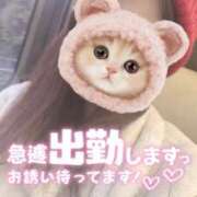 ヒメ日記 2025/12/01 16:52 投稿 みーも スピードエコ難波店